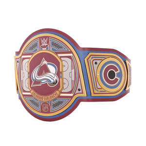 Cinturón de Campeonato de Judo y MMA Personalizado, Placas de Aleación de Zinc de Primera Calidad, Color y Logotipo Personalizables, Artículo Coleccionable de Lujo para Fanáticos y Atletas - Product Image 2