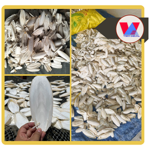 Hueso de Sepia Seco y Sostenible para Recortar el Pico de Aves y Loros, Juguete Masticable de Calcio para Animales - Product Image 2