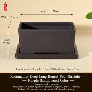 Maceta <span class=keywords><strong>para</strong></span> Suculentas, Pequeña, Profunda, Rectangular, de Plástico, Decoración <span class=keywords><strong>para</strong></span> Hogar/Jardín - Product Image 2