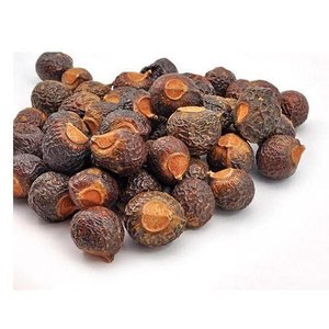 Noix de savon naturelles et pures (Sapindus Mukorossi) - Matière première séchée pour extraits ayurvédiques et botaniques - Product Image 3