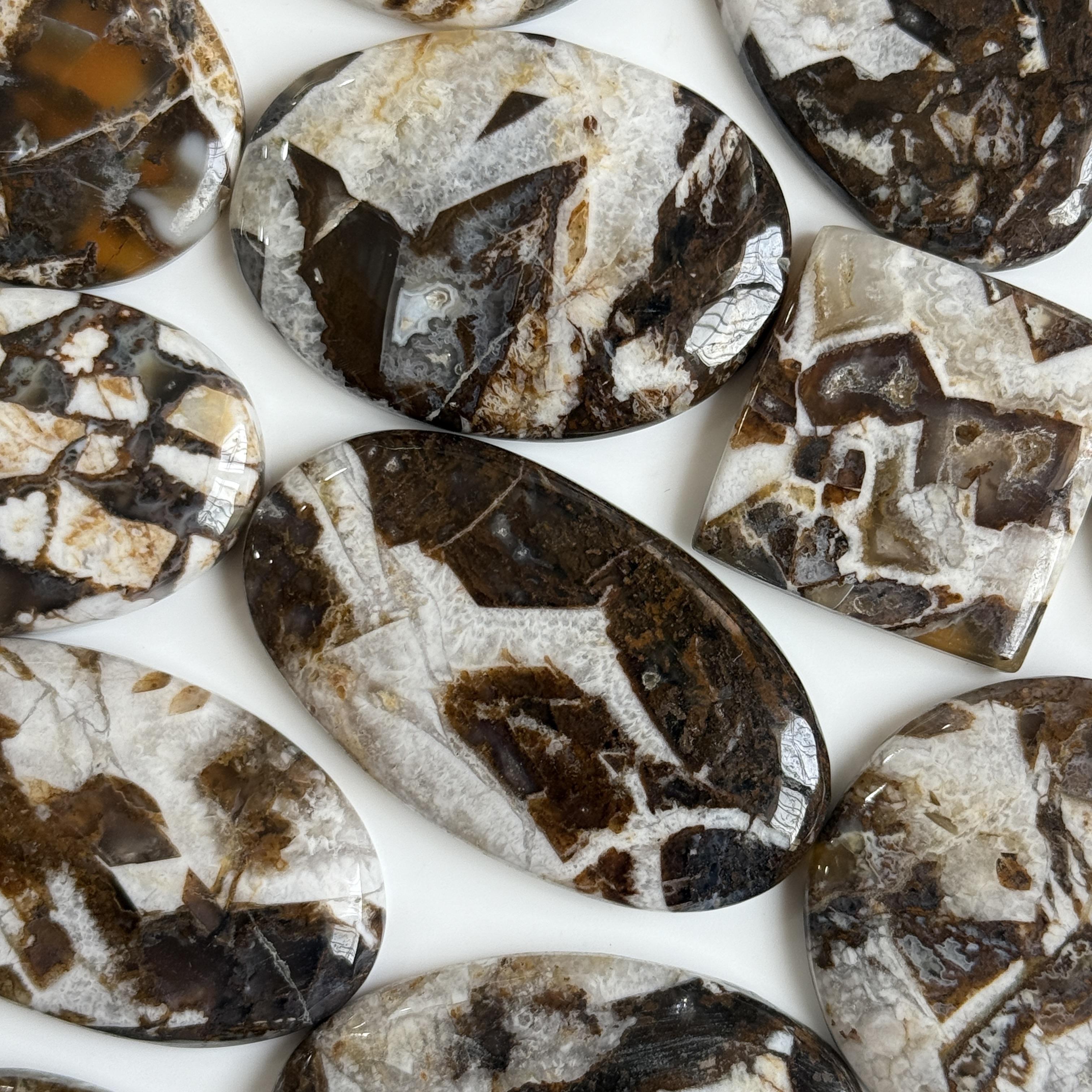 น้ำตาล - ขาว