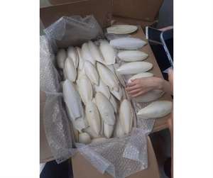 Alta calidad, 11cm, 12cm, 15cm, hueso de sepia seco, comida para pájaros y decoración de jaulas con esponja y materiales de gamuza, venta al por mayor - Product Image 1