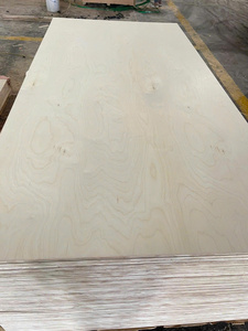 Contrachapado de Abedul Báltico de Núcleo Completo 4x8, 18mm E0, Moderno, Resistente al Agua, Grado de Primera Clase, Decoración de Doble Cara, 1 Año de Garantía, Venta al por Mayor - Product Image 3