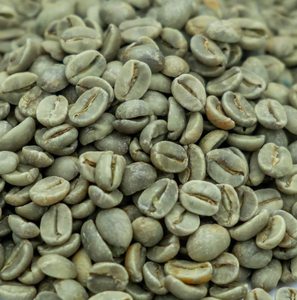 Granos de Café Arábica Verdes Naturales Sin Procesar, Suministro de Muestras al por Mayor para Tostar y Preparar - Product Image 3