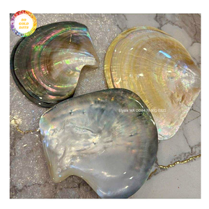 Pendentif disque en coquillage poli, breloque en nacre naturelle, perles dorées, pour boucles d'oreilles et colliers DIY, fourniture en gros de bijoux - Product Image 5