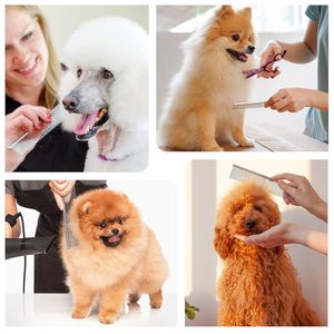 Peigne à dents angulaires en acier inoxydable pour chien, conception simple, brosse de toilettage, manche en ABS écologique, démêlage efficace pour poils longs et épais - Product Image 5