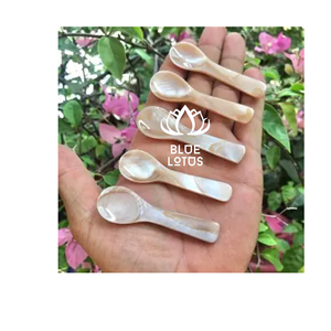 ENVÍO RÁPIDO Cuchara de Nácar Segura, Limpia y Ecológica 2026, Utensilio de Concha Pura Ideal para Degustación de Postres y Servir Huevos, Precio Directo - Product Image 1