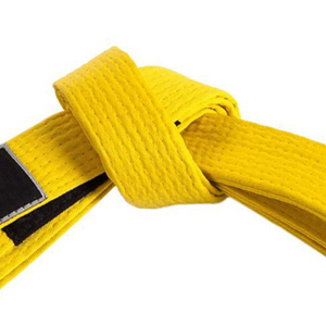 Ceintures de karaté unisexes de haute qualité, dernier style, services OEM, fabricant de premier plan, conception personnalisée, marque privée, confortables pour l'extérieur, 100% - Product Image 2