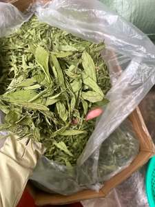 Hojas de Stevia Secas de Fabricante Vietnamita, Bolsa de 100g para Té Diario y Edulcorante Natural - Product Image 2