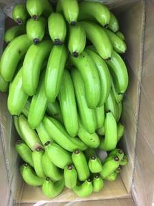 BANANO CAVENDISH PREMIUM FRESCO CON CERTIFICACIÓN GLOBAL GAP /John +94 8844359 - Product Image 6