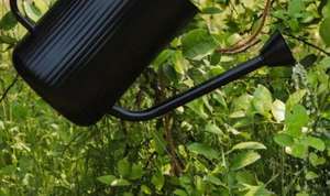 Canne à eau en métal au design unique, la plus populaire, moderne et élégante, très vendue, décorative pour la maison et le jardin, personnalisable - Product Image 4