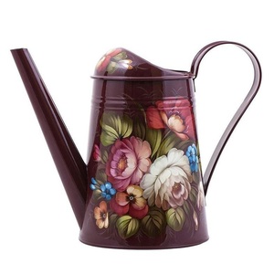 Arrosoir en métal émaillé peint à la main, tendance et nouveau, pour plantes d'intérieur et d'extérieur, pulvérisateur d'eau pour jardins et pots - Product Image 5