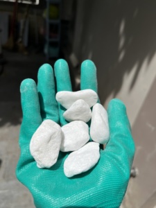 Piedras Decorativas Blancas de Estilo Minimalista para Jardinería y Paisajismo, No Tóxicas, Ecológicas y Duraderas - Product Image 3