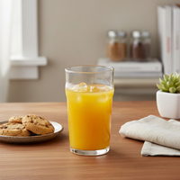[Holar] Verre à bière en plastique transparent incassable réutilisable de 19 oz, fabriqué à Taïwan, pour pubs, fêtes et bistrots