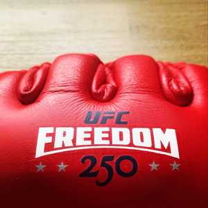 Gants de MMA UFC Freedom 250 en cuir PU rouge, demi-doigts, pour adultes, entraînement d'arts martiaux, logo personnalisé - Product Image 2
