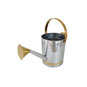 Classic Vintage Style Galvanized Steel Metal Watering Can Heavy Duty Anti-Rust Indoor Outdoor <b>Garden</b> Plant Waterer Utility Jug - Product Image 2
