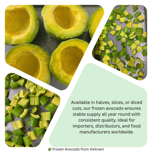 KMI Aguacate Entero Vietnamita IQF Envasado al Vacío a Granel -18°C 24 Meses de Vida Útil 1kg para Hostelería y Producción - Product Image 2