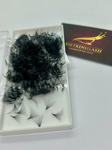 Extensions de cils pré-fabriquées Promade 0.03/0.07 à base pointue, tiges longues et courtes, longueur 8-25mm, volume facile à poser - Product Image 1