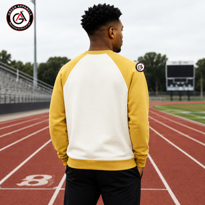 Alpha en gros |   Sweat-shirt en polaire uni pour homme de la fraternité Phi Embroidery, hiver |   Col rond personnalisé brodé sur le devant, 100% coton - Product Image 2
