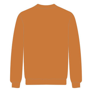 Sudadera Delta Psi Rho Sorority, Cuello Redondo, Algodón Dorado con Poliéster, Año de Fundación 2020, Ropa Griega, Suave, Cómoda, Informal - Product Image 3