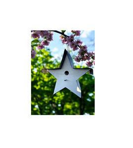 Casa de pájaros decorativa de metal para jardín, refugio colgante para exteriores, lugar de anidación para pájaros pequeños, patio trasero, balcón, terraza - Product Image 3