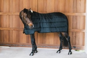 Couverture pour chevaux de haute qualité, respirante, au design personnalisé, à bas prix, imperméable pour l'hiver, 100 % polyester - Product Image 5