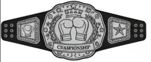 Cinturones de Campeonato de Cuero Samurai Profesionales y Elegantes para Jiu-Jitsu, MMA, Boxeo y Más Artes Marciales - Product Image 3