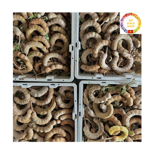 Pulpa de Tamarindo Congelada IQF, Sabor Natural y Picante, para Procesamiento de Alimentos, Exportador a Granel - Product Image 1