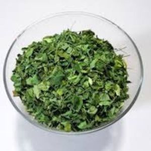Hojas de Moringa Cultivadas Orgánicamente, Producto Herbal Natural para la Curación, Venta al Por Mayor, Extracto de Oleifera de Alta Pureza - Product Image 3