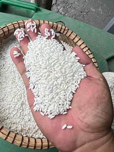 [Keith Vilaconic] Long Grain Glutinous <b>Rice</b> Sticky Quality for Export Bulk | Riz Gluant Long Grain - Product Image 4