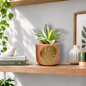 Maceta Artesanal de Terracota con Diseño de Corazón, Hecha a Mano, Colorida, con Orificio de Drenaje para Plantas de Interior, Sala de Estar - Product Image 6