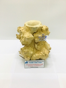 Cueva de Madera Natural para Reptiles con Orificio para Decoración de Terrarios, Hecha en Vietnam - Product Image 4