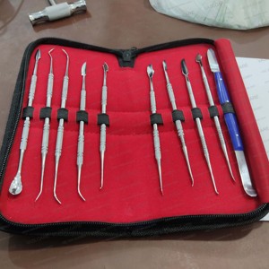 Juego de Herramientas Profesionales Manuales para Esculpir Cera Dental, de Acero Inoxidable Alemán, Kit de Instrumentos Quirúrgicos ENT para Limpieza y Relleno - Product Image 6