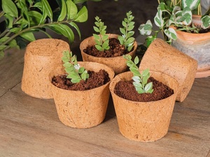 Pots à semis en fibre de coco – Pots à plantes biologiques pour pépinière, vente en gros - Product Image 3