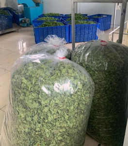 Feuilles de Gotu Kola : Tisane Relaxante Naturelle de Centella Asiatica Sauvage – Offre Spéciale à Prix Abordable, Qualité Export - Product Image 2