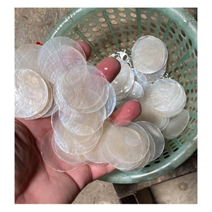จี้เปลือกหอยเป๋าฮื้อทำมือทรงกลมสีขาวเหลือบรุ้ง สำหรับตกแต่งบ้าน ของขวัญงานฝีมือสไตล์เรียบง่าย - Product Image 6