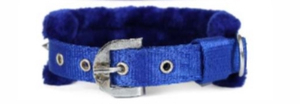 Spikes Legacy Nylon Dog <b>Collar</b> Premium Handcrafted <b>Pet</b> <b>Collar</b> Built for Durability from Divine International India - Product Image 4