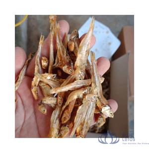 ลดราคาพิเศษ ปลาแอนโชวี่แห้งบลูโลตัส 100% บริสุทธิ์ ผ่านกระบวนการ FD/AD บรรจุภัณฑ์สุญญากาศ เกรดพรีเมียม อายุการเก็บรักษา 12 เดือน เหมาะสำหรับร้านอาหารและธุรกิจจัดเลี้ยง - Product Image 1