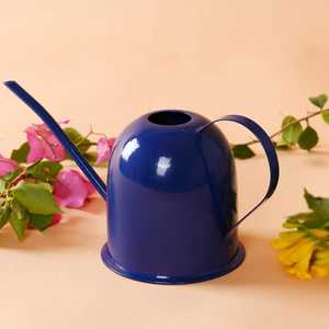 Cannette d'arrosage décorative en acier galvanisé, design vintage moderne, écologique et durable, pour la maison et le jardin - Product Image 4