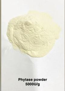 เอนไซม์ไฟทาสชนิดผงสำหรับสัตว์ปีก ผลิตในอินเดีย - Product Image 3