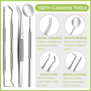 Kit d'hygiène dentaire en acier inoxydable 8 pièces avec miroir, pinces et cure-dents pour soins bucco-dentaires - Product Image 2