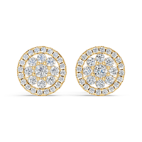 Luxuriöse Klassische Blumen-Ohrstecker für Damen 925 Silber 14K/10K Vergoldet Moissanit Krappenfassung Hochzeitsschmuck EGL-Zertifiziert