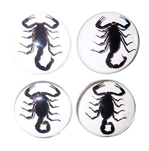 Scorpion noir, spécimen réel, cabochon en plastique rond 38x38 mm, fond plat transparent pour l'artisanat et la fabrication de bijoux - Product Image 1