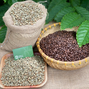 Café en vrac non torréfié de haute qualité, processus vert, fèves mûres, OEM, sac de 60 kg, lavé, 99% Arabica, export usine Vietnam, pour café - Product Image 1
