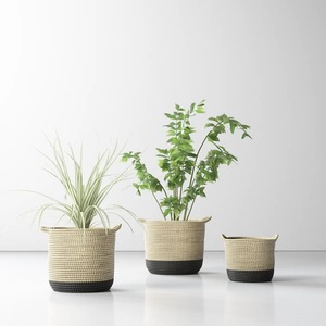 Ensemble de 3 paniers en jonc de mer noir avec fond, paniers de rangement faits à la main, vente en gros, écologiques, fabriqués au Vietnam - Product Image 2