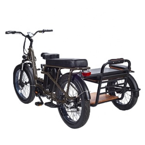 RaiderTrike-C201 48v <span class=keywords><strong>750w</strong></span> gros pneu Tricycle électrique Cargo vélo électrique latéral 3 roues électriques vélos pour tous les styles de vie - Product Image 6