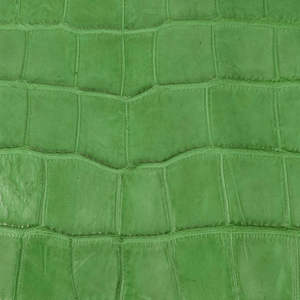 Chaquetas de Cuero de Alta Calidad, Nueva Colección de Invierno, Chaquetas de Cuero Puro con Logotipo Personalizado a un Precio Accesible - Product Image 2