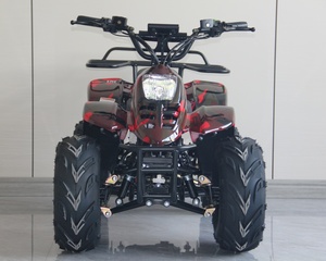 <span class=keywords><strong>Quad</strong></span> électrique <span class=keywords><strong>mini</strong></span> ATV <span class=keywords><strong>800W</strong></span> tout-terrain pour jeunes, prix de gros direct usine - Product Image 1