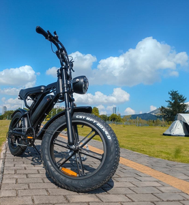Bicicleta Eléctrica Retro V20 de 20 Pulgadas con Llantas Gruesas, Estilo Vintage, 1000w, Precio al por Mayor, Stock en la UE, 2 Años de Garantía - Product Image 1
