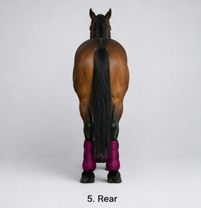 Nouvelles Bottes d'Équitation Tendance en Néoprène, Absorbant les Chocs, Respirantes, Durables, Protection des Jambes de Cheval, Service OEM - Product Image 6